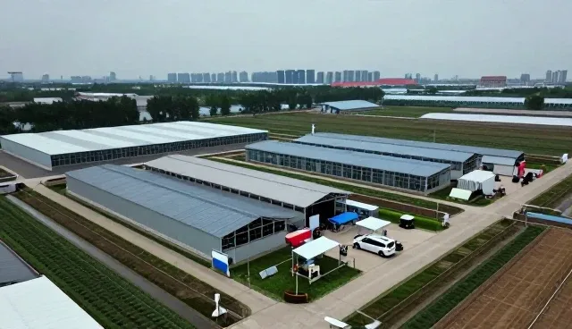 品牌视觉设计在新媒体运营中的实际应用场景分析