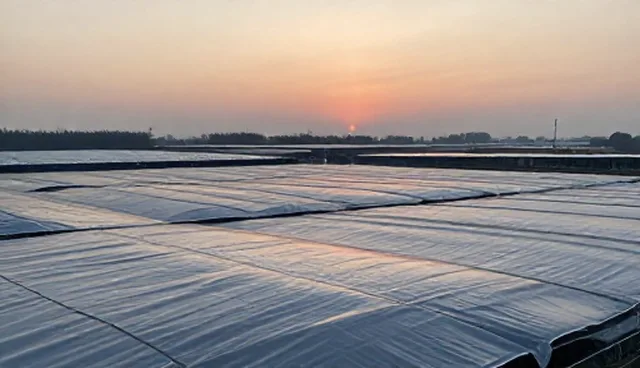 直播运营中色彩平衡的适用条件与选择依据