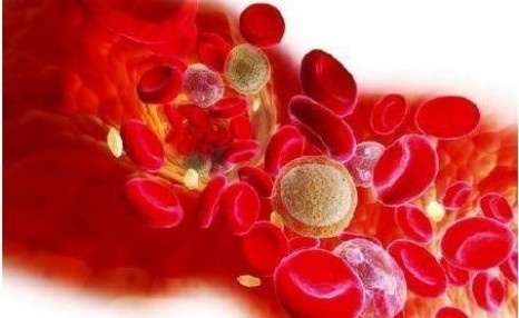 ab血型和o血型的孩子是什么血型_什么血型的血比较珍贵_血型rh阴性血