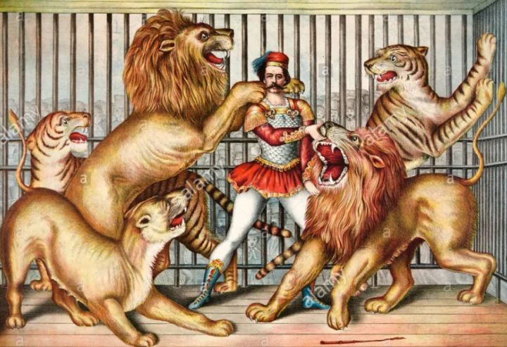八月二日是狮子什么座_处座男和狮子女的爱情_狮子座世界名人