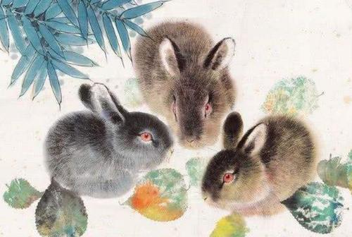 你家有属兔人吗2023年要留神特别是6375年的兔多操心