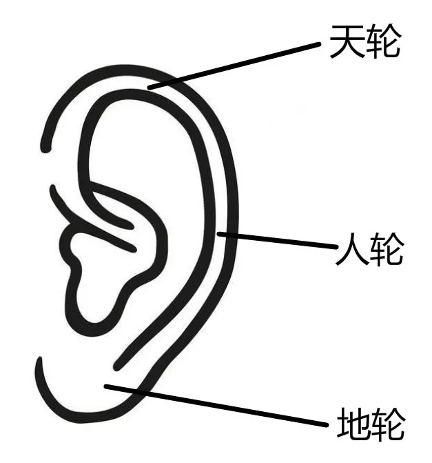 耳朵边缘有个小尖角面相_一边耳朵大一边耳朵小面相_耳垂一边大一边小面相