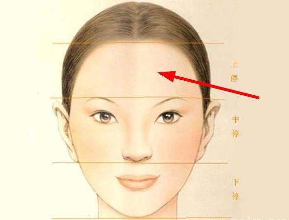 下巴高的女人面相分析_有下巴的女人面相分析_眉毛到下巴的长度面相分析