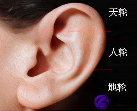 大s耳朵面相_两只耳朵不一样大面相_非传染性湿疹样皮炎耳朵