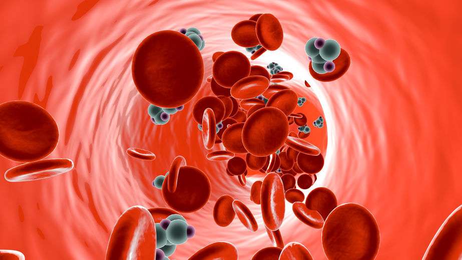 易烊千玺血型是什么_什么血型易得高血压_血压多高易脑溢血