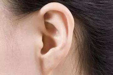 女人耳朵面相图解_耳朵无耳廓女人的面相_女人耳朵面相
