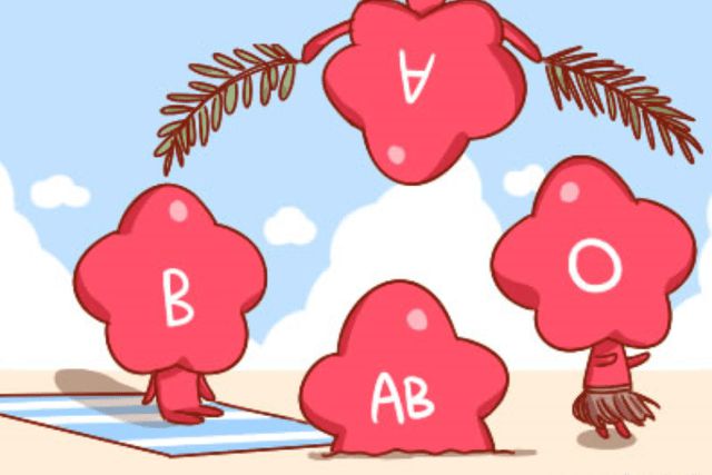 血型为ab型的人可以输血给a型或b_血型a型和b型_什么血型和什么血型生出a型血