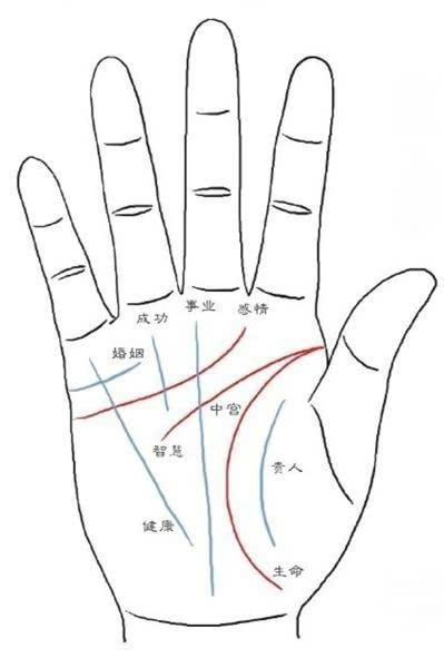 看手相算命图解感情线发三叉是什么意思_看男人的手相算命图解_成功线手相图解看