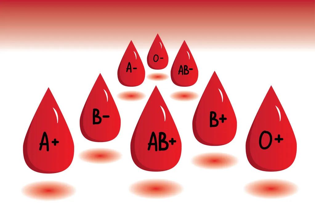 b型rh阴性血孩子是什么血型_ab型血型和o型血型_哪个血型最长寿