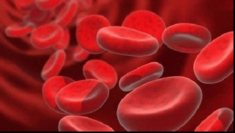 血型单特异性抗体鉴定是查什么_血型对照表_d型血