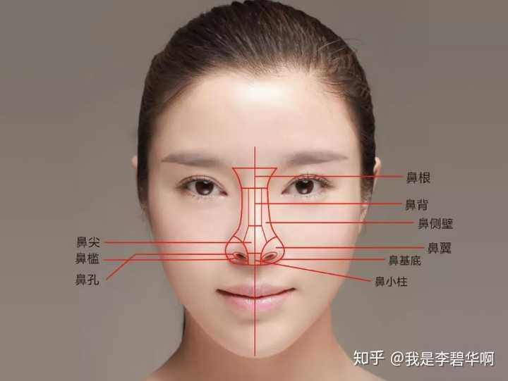 面相鼻子类型图片介绍_面相鼻子的类型及图片_面相鼻子类型图片女
