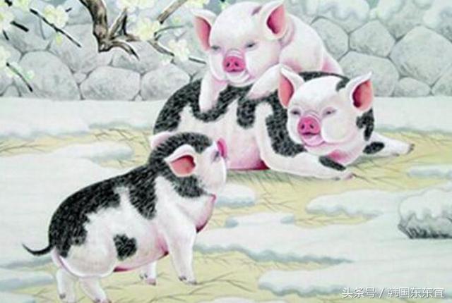 生肖猪今年的财运如何_属猪的今年财运怎么样请问_今年属猪怎么样才能有好财运