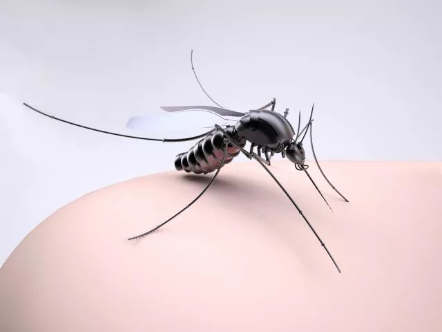 蚊子吸血血型的关系_蚊子吸血血型有关吗_吸蚊子的血型