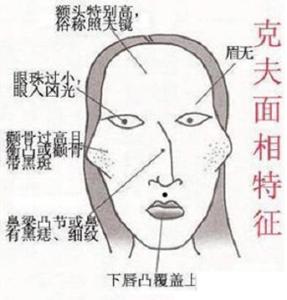 根据脸测性格是什么软件_脸测试性格_测脸看性格