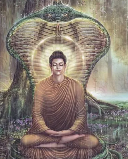 佛家思想的代表人物是谁_佛家思想的代表人物_佛学思想的代表人物