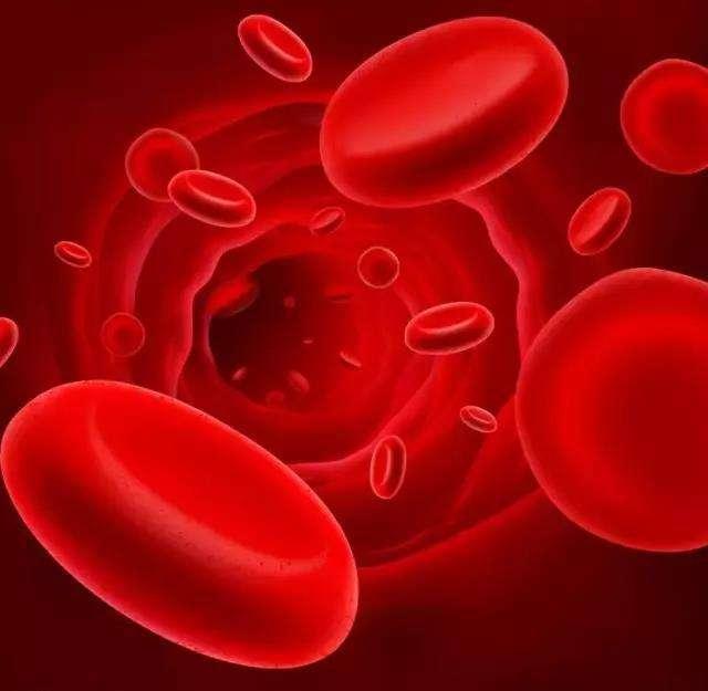 哪种血型最少_血型少的是什么_血型哪种比较少