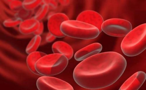 血型的健康优势和劣势_四种血型哪种血型最健康_不同血型健康指南