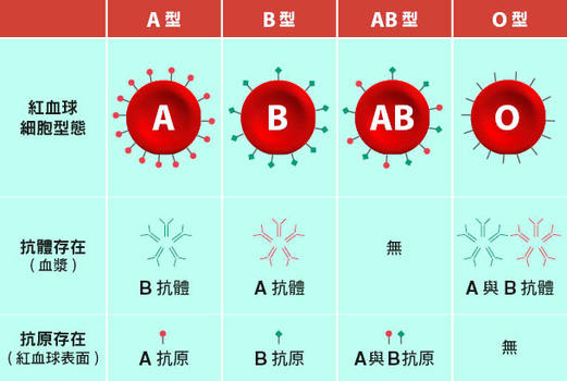 血型与_血型遗传规律表_血型有几种