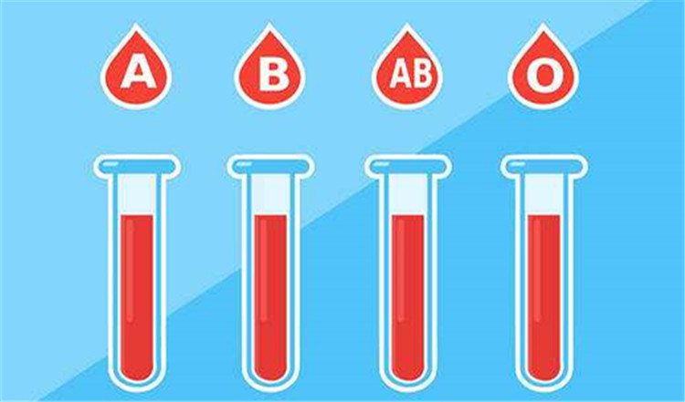 血型有几种_血型遗传规律表_血型与